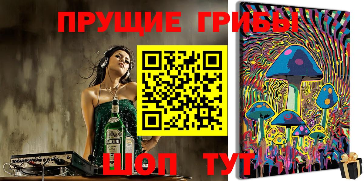 Краснознаменск  Псилоцибиновые грибы ЛСД  Вход с VPN 